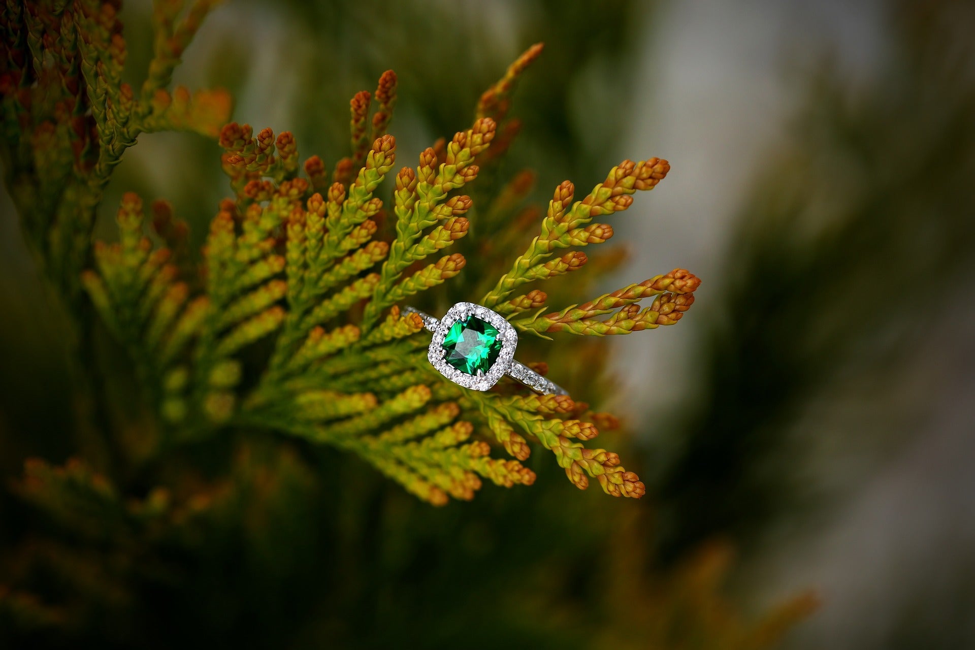 Colored Diamonds Rings